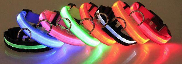 LED Pet Collar